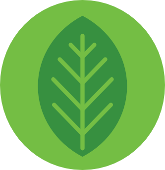 ЧИСТ ПРОИЗХОД